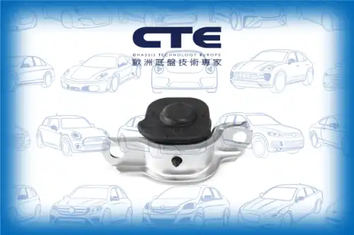 Рычаг подвески CTE CBH05025R