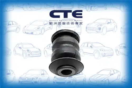 Рычаг подвески CTE CBH06049