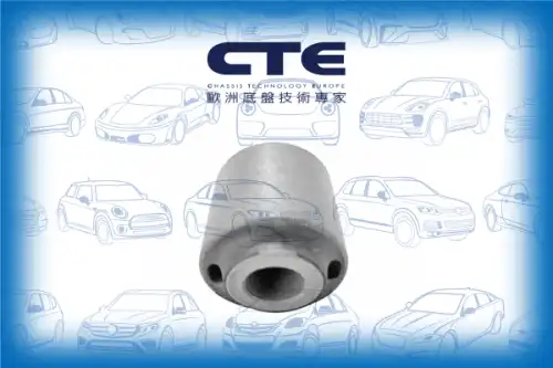 Рычаг подвески CTE CBH03048