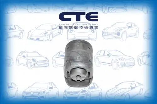 Рычаг подвески CTE CBH06014