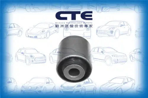 Рычаг подвески CTE CBH01042