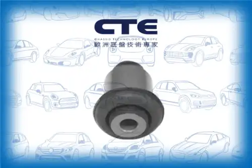 Рычаг подвески CTE CBH01043