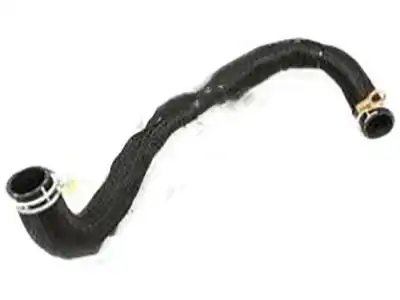 Hose-radiator,u 254113M100 KIA