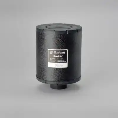Воздушный фильтр C065002 DONALDSON