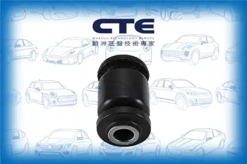 Рычаг подвески CTE CBH04012