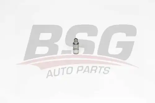 Гидрокомпенсатор BSG BSG 90-122-019