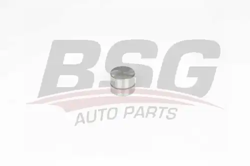 Гидрокомпенсатор BSG BSG 65-122-022