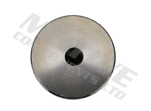 Впускной клапан IV10011 MOTIVE