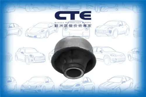 Рычаг подвески CTE CBH02049