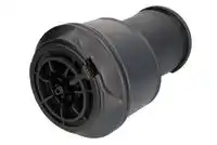 Пневмоподушка MAGNUM MZC001MT