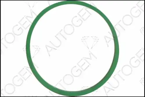 Прокладка коллектора AUTOGEM CSM7809