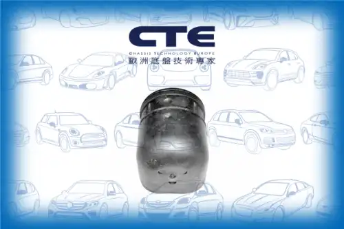 Рычаг подвески CTE CBH06012