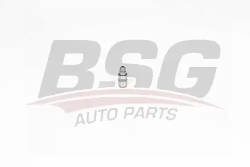 Гидрокомпенсатор BSG BSG 15-122-019