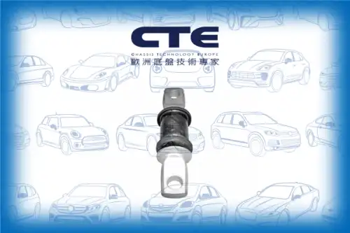 Рычаг подвески CTE CBH02025