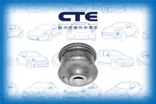Рычаг подвески CTE CBH03032