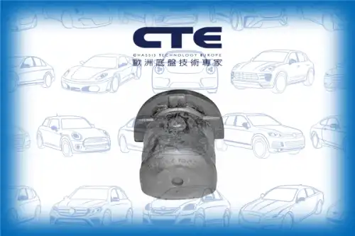 Рычаг подвески CTE CBH06010