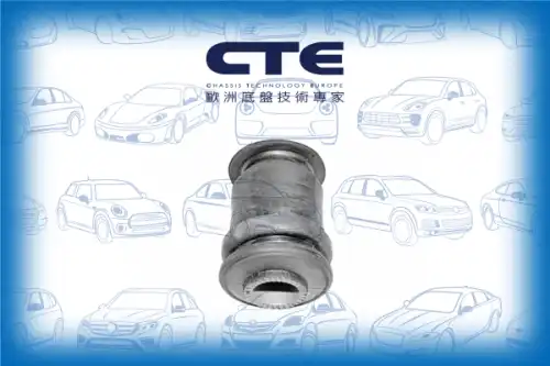 Рычаг подвески CTE CBH06011