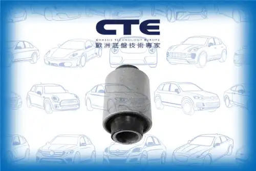 Рычаг подвески CTE CBH06044