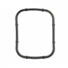 Прокладка коллектора FORD 1 509 352