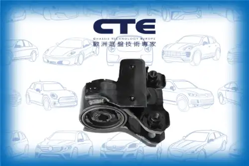 Рычаг подвески CTE CBH01044R