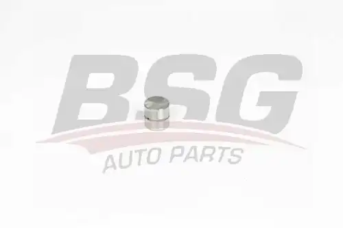 Гидрокомпенсатор BSG BSG 90-122-021