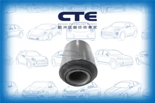 Рычаг подвески CTE CBH06042