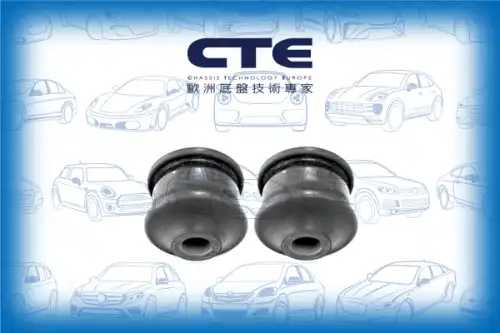 Рычаг подвески CTE CBH03064