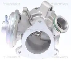 Клапан возврата ОГ 8813 23032 TRISCAN