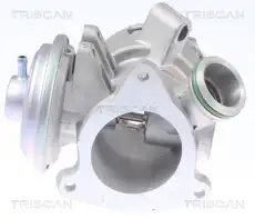 Клапан возврата ОГ 8813 23032 TRISCAN