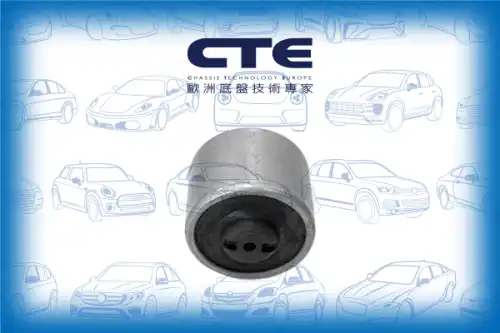 Рычаг подвески CTE CBH06034