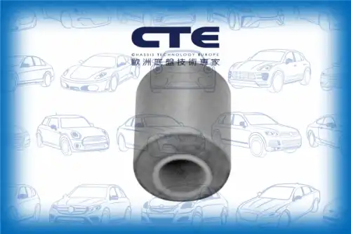 Рычаг подвески CTE CBH06035