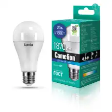 CAMELION 13166