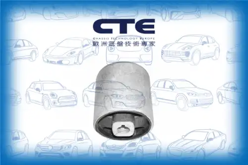 Рычаг подвески CTE CBH09005