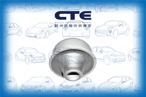 Рычаг подвески CTE CBH15001