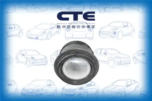 Рычаг подвески CTE CBH05024