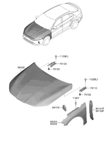 Крыло MOBIS 66320L2000