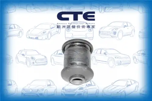 Рычаг подвески CTE CBH20005