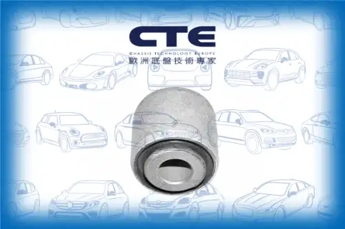 Рычаг подвески CTE CBH17010