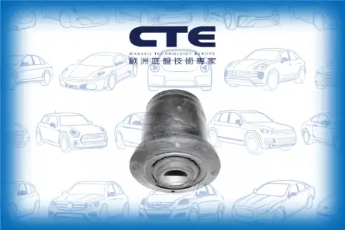 Рычаг подвески CTE CBH03013