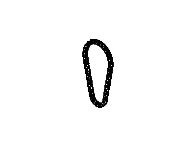 CHAIN,CM/SHF TMG(xKIT1) 24461834 PONTIAC