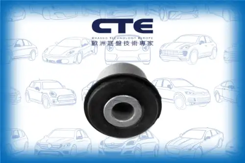 Рычаг подвески CTE CBH16006