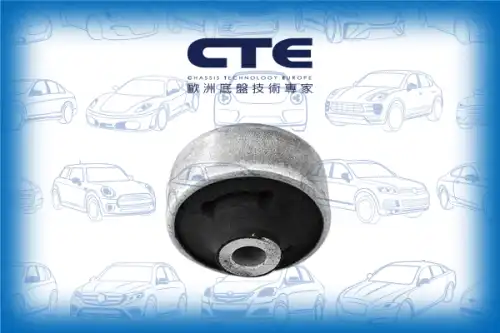Рычаг подвески CTE CBH19013