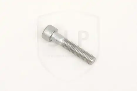 SCREW SKR-699 SLP