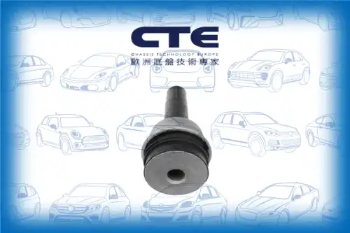 Рычаг подвески CTE CBH21016