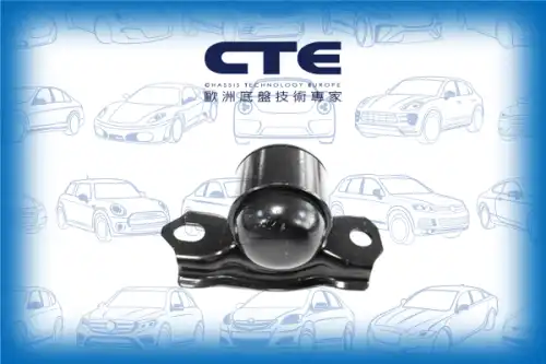 Рычаг подвески CTE CBH06046R