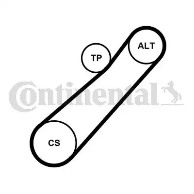 Multi V-Belt Kit \RENAULT 7PK880K1 CONTITECH