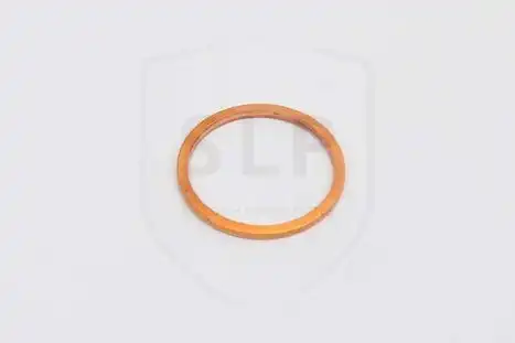 Уплотняющее кольцо BR-629 SLP