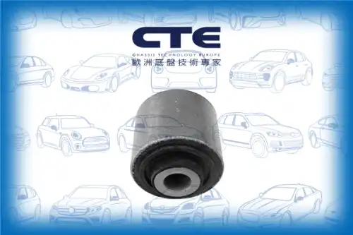 Рычаг подвески CTE CBH21019