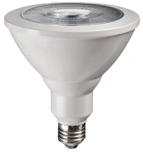 JAZZWAY 5004702