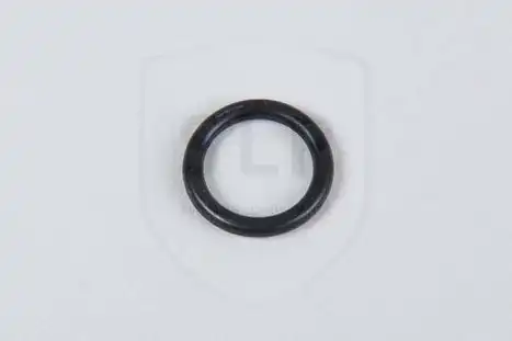  OR-009 SLP